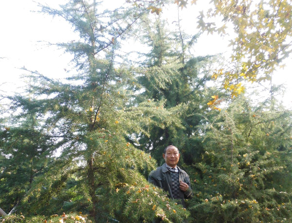 山东景松 山东景松