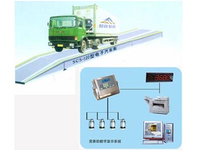 ̩������