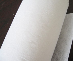 涤纶长丝热轧无纺布